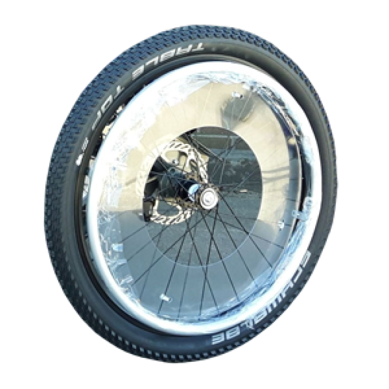 Spoke Guards (pair)